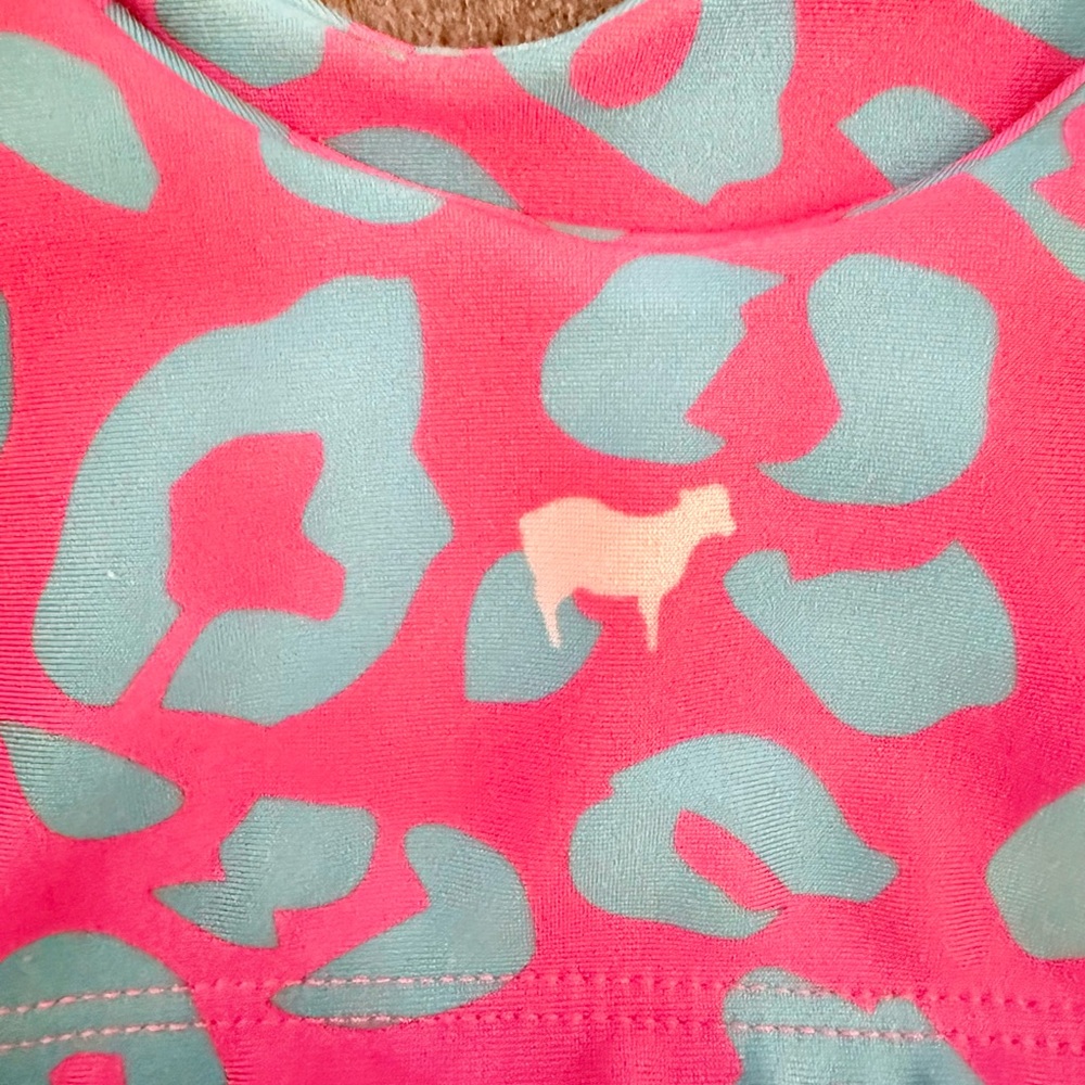 Goldsheep Pink and Blue Sports Bra with Bold Leopard Print - Picture 4 of 5